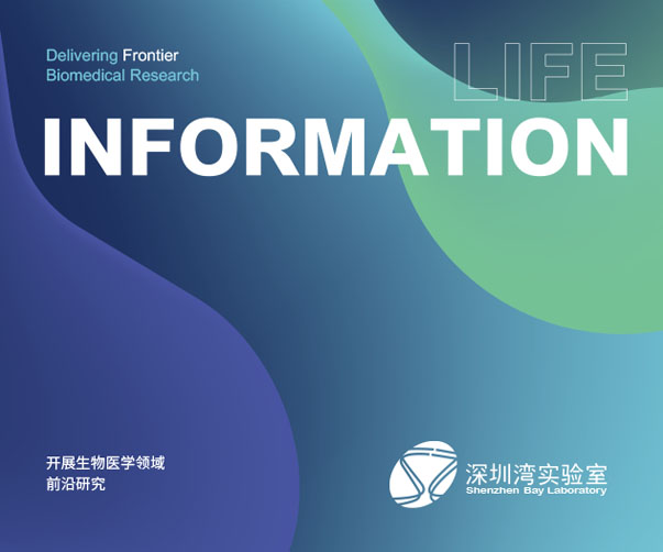 企業(yè)vi視覺(jué)設(shè)計(jì)_VI設(shè)計(jì)打造企業(yè)獨(dú)特品牌形象